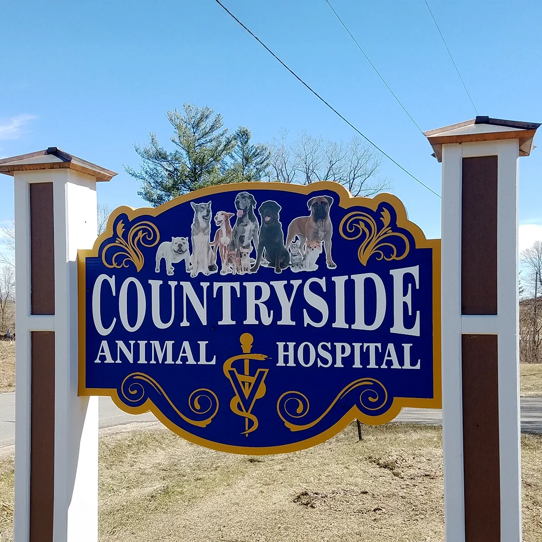 Countryside Animal Hospital Sign Countryside Animal Hospital blue and gold outdoor sign featuring images of dogs and cats.