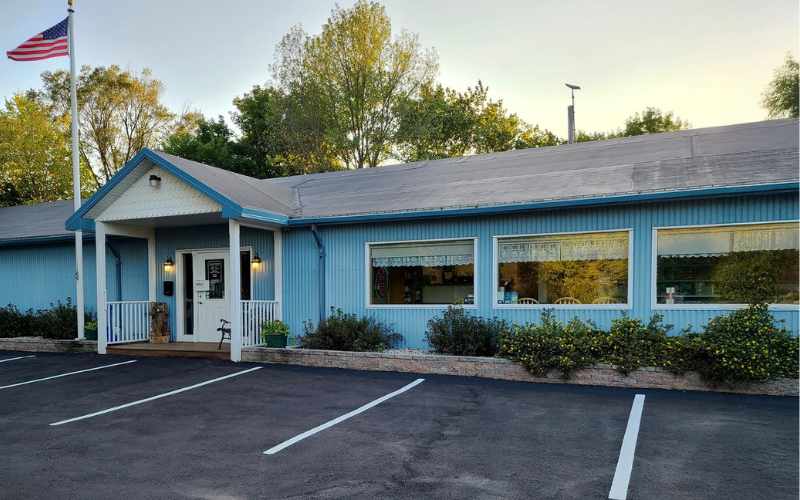 Countryside-Animal-Hospital-Exterior Front view of Countryside Animal Hospital with blue building, American flag, and parking lot.