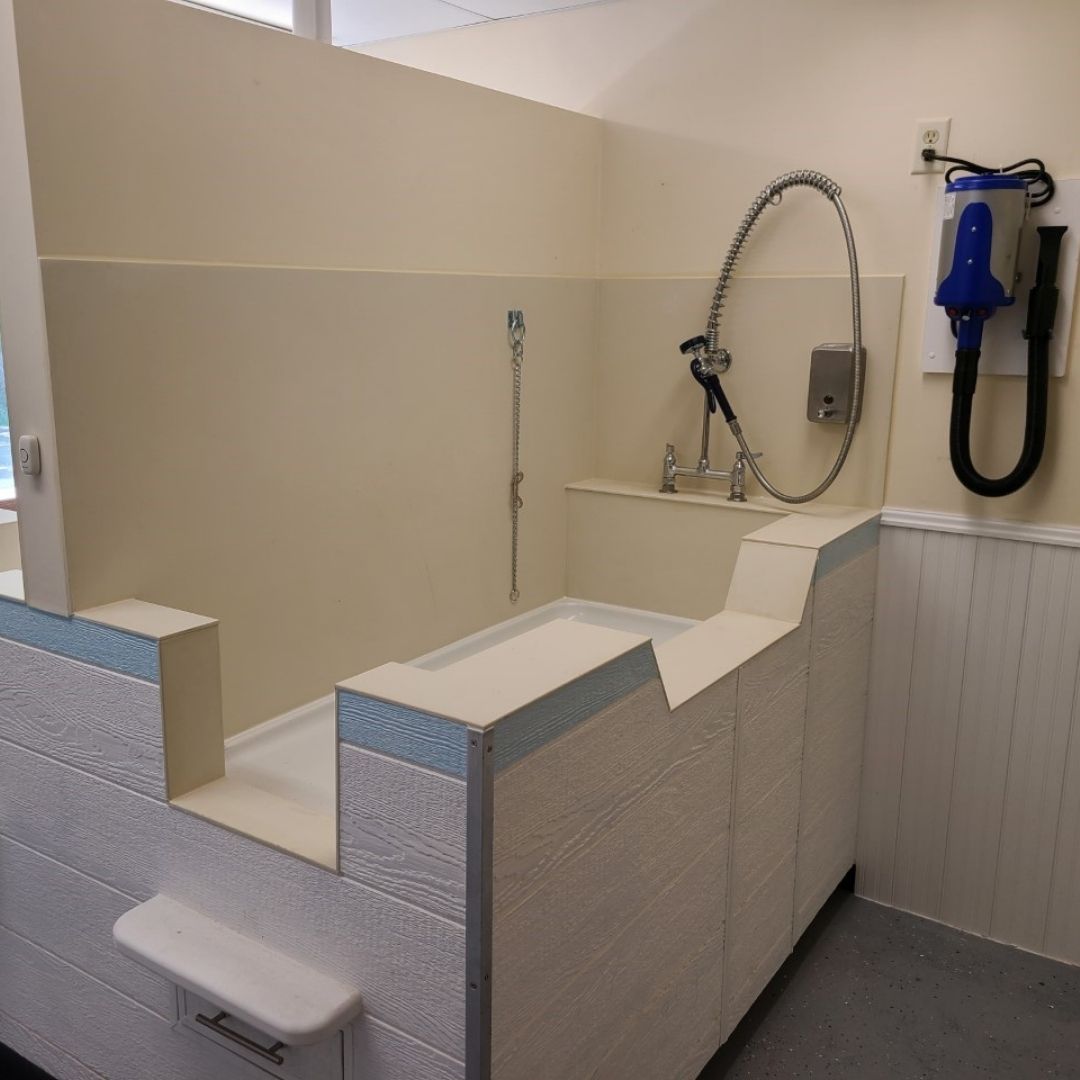 A bathroom featuring a shower and a toilet