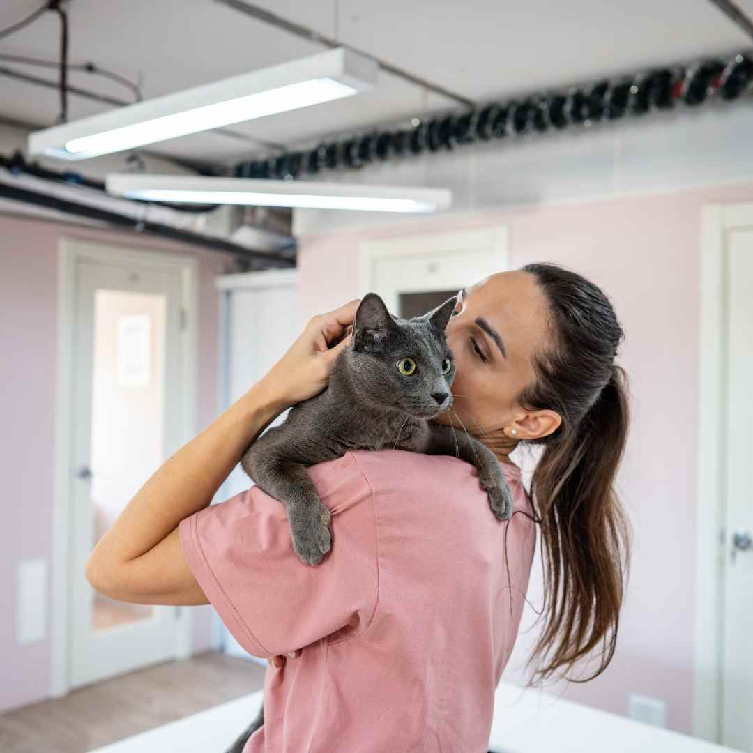 A woman cradles a gray cat in her arms while sitting in a cozy room
