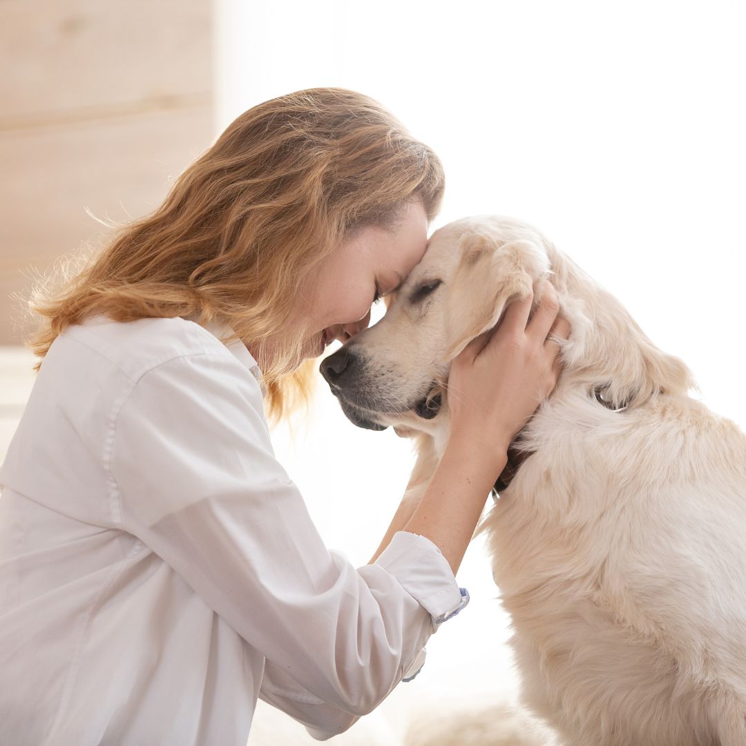 Pet Arthritis Relief and Chronic Pain Treatment