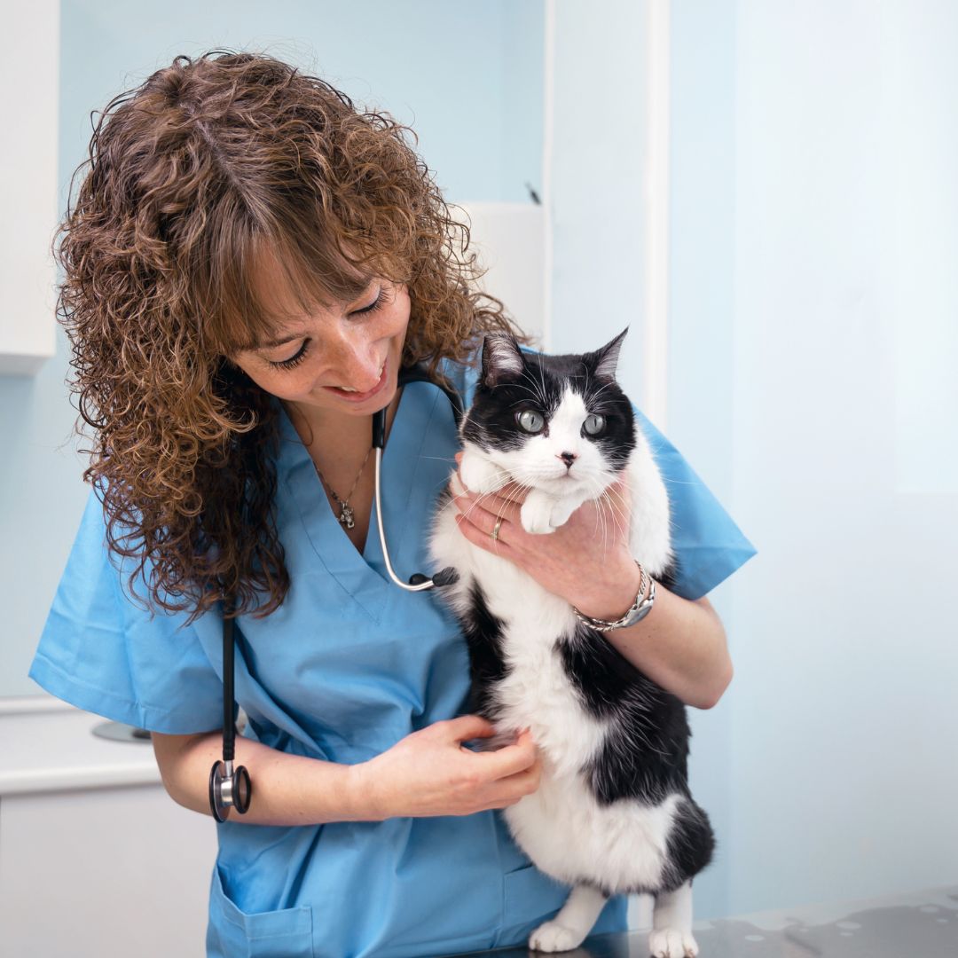 Diagnostic Services section