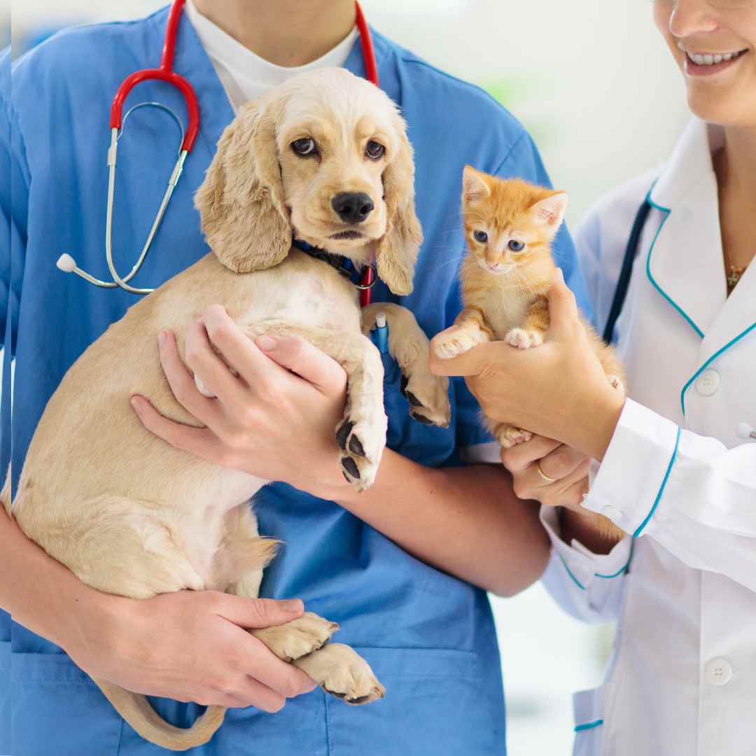 Regular parasite control