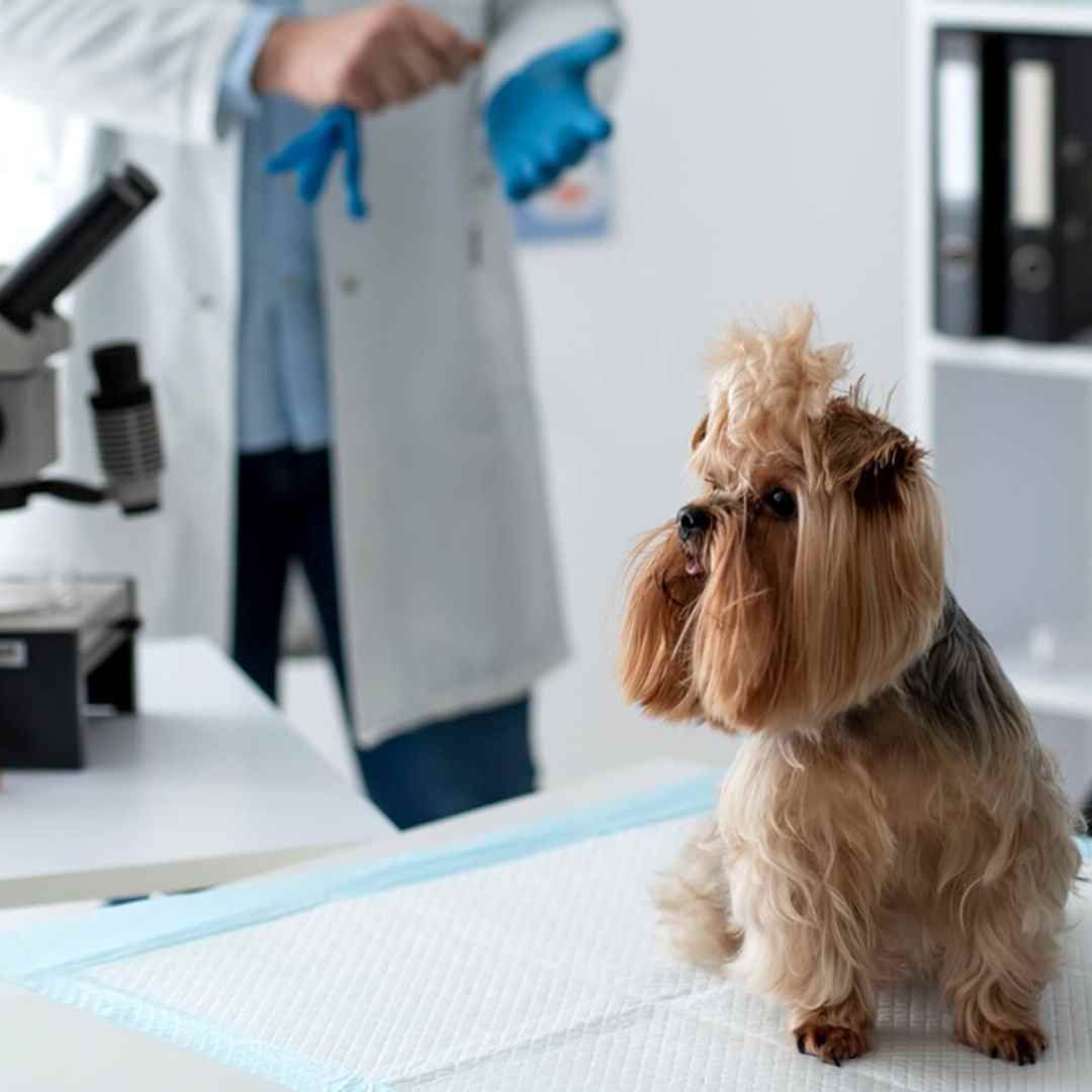in-house lab