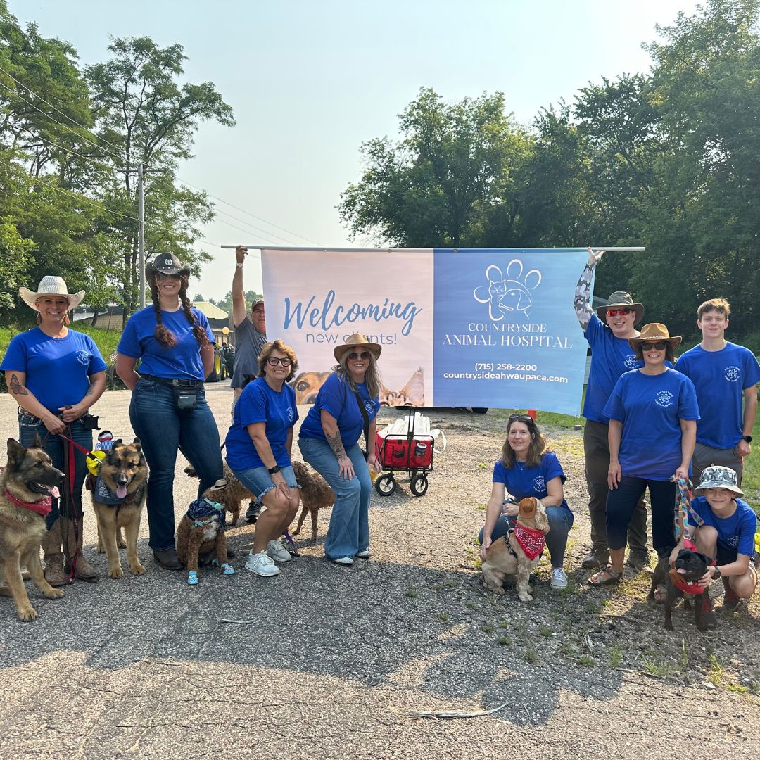 Countryside Animal Hospital blue and gold outdoor sign featuring images of dogs and cats.
